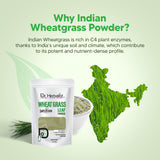 Dr. HERBALIST Wheatgrass Powder 200g - Pure Triticum Aestivum with Chlorophyll Iron & Vitamins A C E | Supports Daily Greens Detox & Nutrient Density* | Halal, Vegan view 6