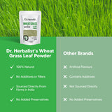 Dr. HERBALIST Wheatgrass Powder 200g - Pure Triticum Aestivum with Chlorophyll Iron & Vitamins A C E | Supports Daily Greens Detox & Nutrient Density* | Halal, Vegan view 7