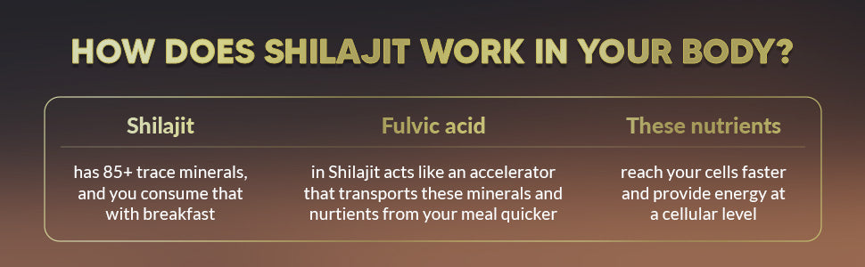 Dr. HERBALIST Pure Shilajit Resin 30g - Raw Himalayan Mineral Exudate with Fulvic Acid & 80+ Trace Minerals | Supports Energy Vitality & Stamina* | Traditional Purist Format | Halal, Vegan — feature 5